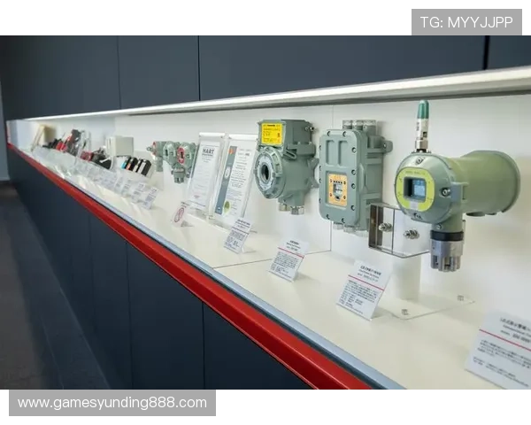 云顶集团4008om未来发展规划展望引领线上娱乐新趋势